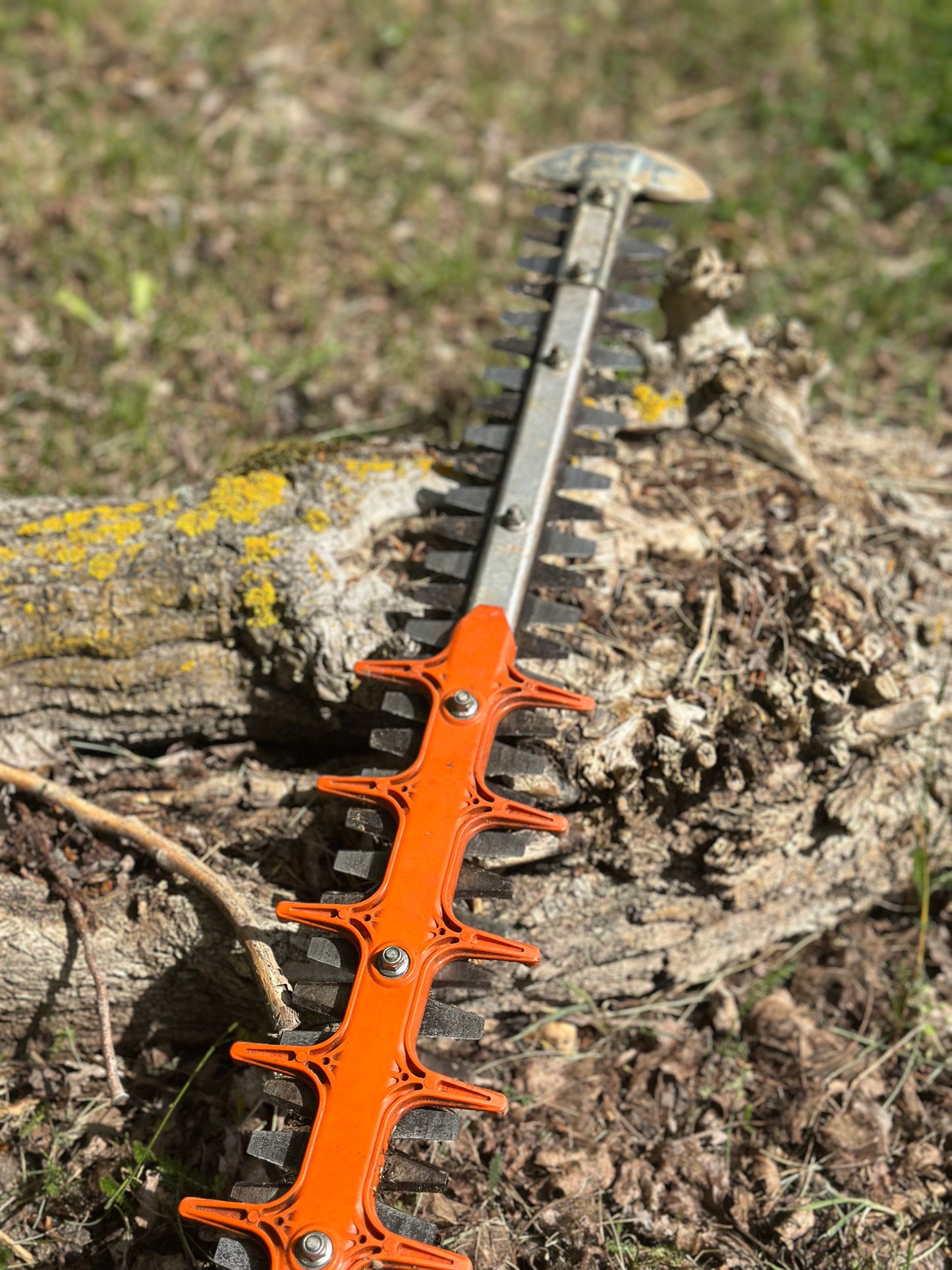 Taille Haie Thermique